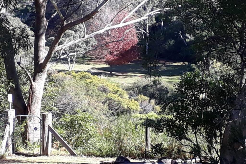 Katoomba Falls Cottage Extérieur photo